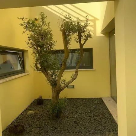 Casa Gene *